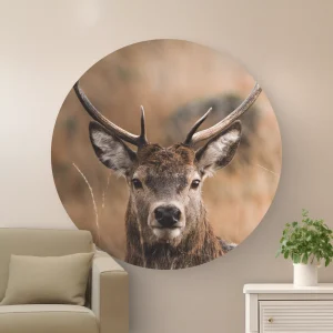 Muurcirkel Hert met gewei - MC D070