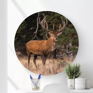 Wandcirkel hert - Wooncirkel
