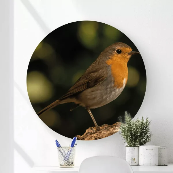 Wandcirkel Roodborst