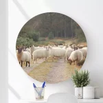 Wandcirkel met schaapskudde - Wooncirkel schaap