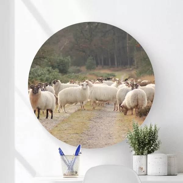 Wandcirkel met schaapskudde - Wooncirkel schaap
