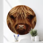 Muurcirkel Schotse Hooglander kalf diverse maten