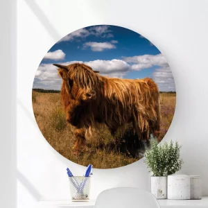 Wandcirkel Hooglander - Wooncirkel heide