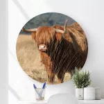 Muurcirkel Hooglander Hijkerveld