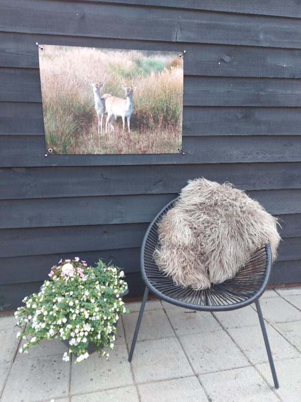 Tuinposter - Twee damherten - Afbeelding 3
