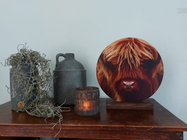 Muurcirkel Forex - Schotse Hooglander kalf - Afbeelding 4