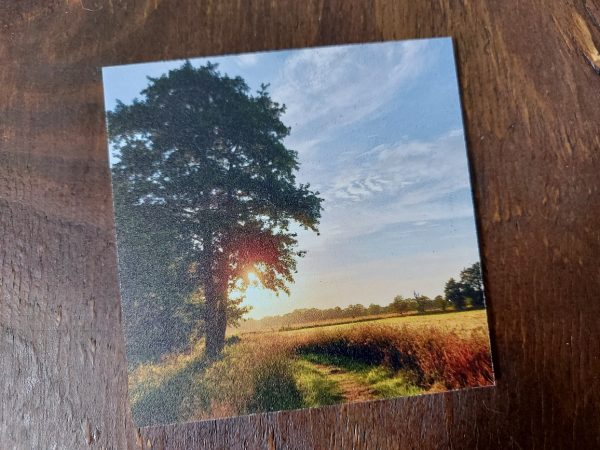 Landelijke onderzetters – Boom met zonsondergang bij graanveld - Forex - Afbeelding 4