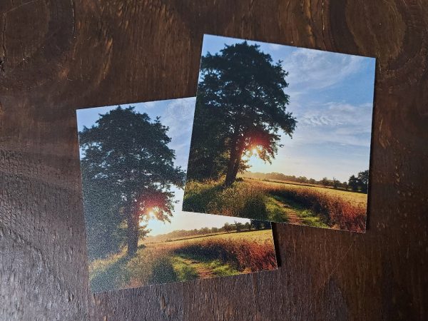 Landelijke onderzetters – Boom met zonsondergang bij graanveld - Forex - Afbeelding 2