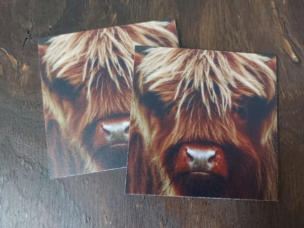 Landelijke onderzetters - Schotse Hooglander kalf - Forex - Afbeelding 4
