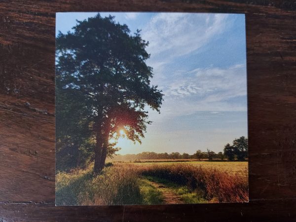 Landelijke onderzetters - Boom met zonsondergang bij graanveld - Dibond - Afbeelding 2