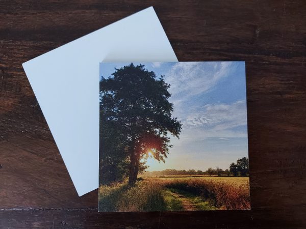 Landelijke onderzetters - Boom met zonsondergang bij graanveld - Dibond - Afbeelding 4