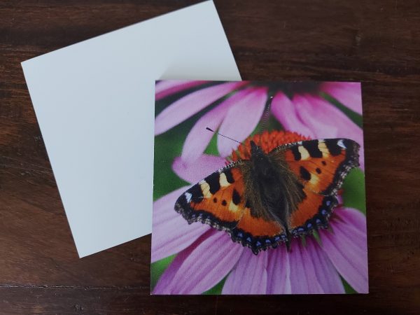 Landelijke onderzetters - Vlinder Kleine Vos op rode zonnehoed - Dibond - Afbeelding 4