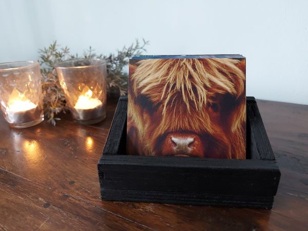 Landelijke onderzetters - Schotse Hooglander kalf - Dibond - Afbeelding 3