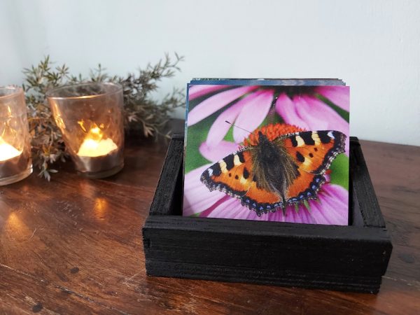 Landelijke onderzetters - Vlinder Kleine Vos op rode zonnehoed - Dibond - Afbeelding 3
