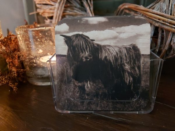 Viltjes Schotse Hooglander op de heide - Landelijke onderzetter