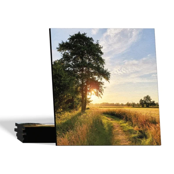 Landelijke onderzetters - Boom met zonsondergang bij graanveld - Dibond