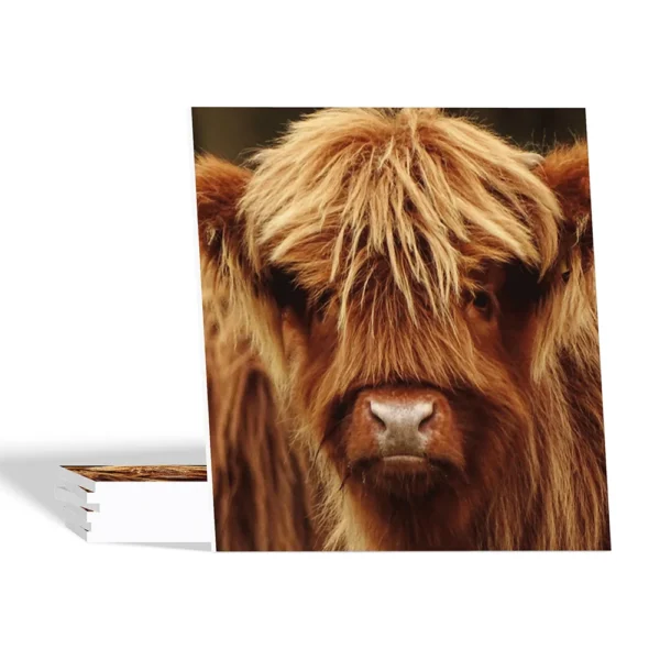 Landelijke onderzetters - Schotse Hooglander kalf - Forex