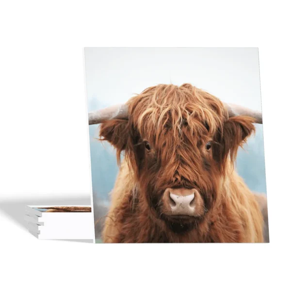 Landelijke onderzetters - Schotse Hooglander in de Herfst - Forex