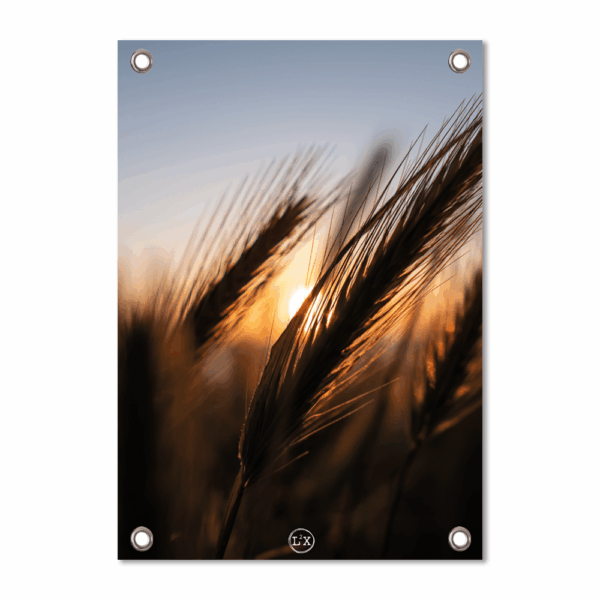 Tuinposter Grass