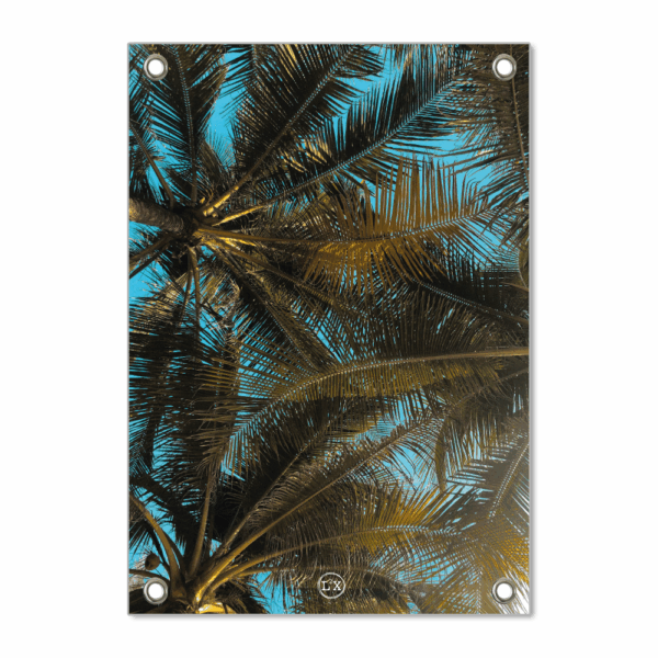 Tuinposter Palm